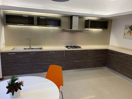 Large Executive Two Bedroom Apartment with Garden - Piata Victoria - Photo 3