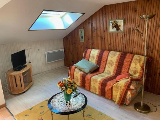 Location Appartement 2 pièces 43m² MILLAU 12100 - Photo 1