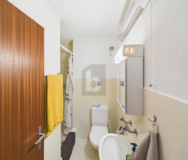 CENTRAL, LIGHT-FLOODED AND FAMILY-FRIENDLY - Photo 4