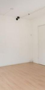 Franklinstraat 2562 CA 's-Gravenhage - Foto 4