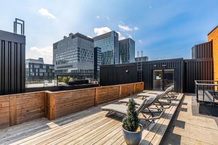 450 Rue St Antoine E., Montréal (Ville-Marie), QC H2Y - Photo 5