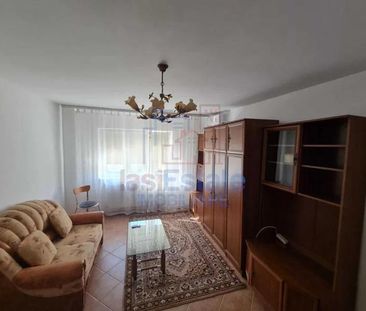 Apartament 1 Camera Podul de Fier - Statia Padurii - Fotografie 4
