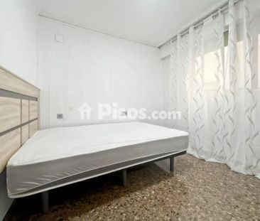 Piso en alquiler en Zona Ensanche-Parque Santa Rosa - Foto 5