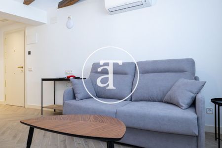 Monthly rental apartment with 1 bedroom and 1 bathroom in the heart of Madrid, steps from Puerta del Sol - Photo 4