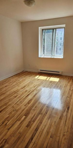 1 CH - 1 SDB - Montréal - $1,200 /mo - Photo 1