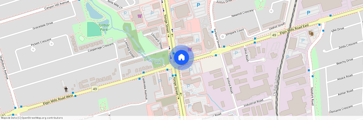 20 Chiara Rose Lane, Richmond Hill