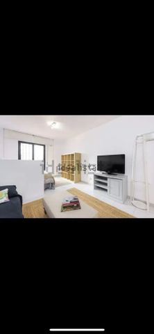 Alquiler de estudio en Aguas - Photo 3