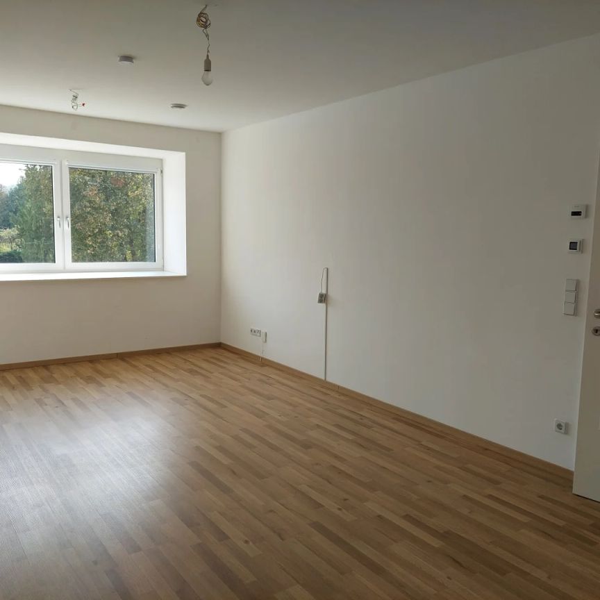 Im Zentrum, Neumarkt - Photo 1