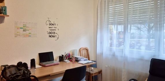 1.5 Zimmer, 25 m² - Foto 2