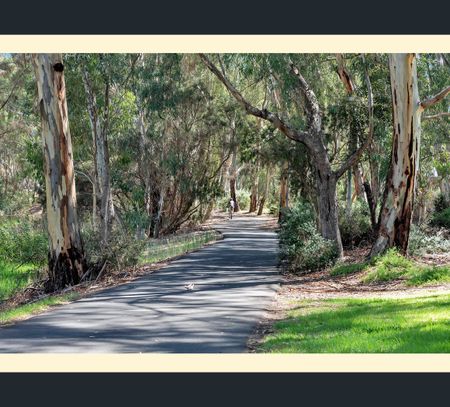 15 Ridgefield Avenue, Dernancourt, SA 5075 - Photo 2