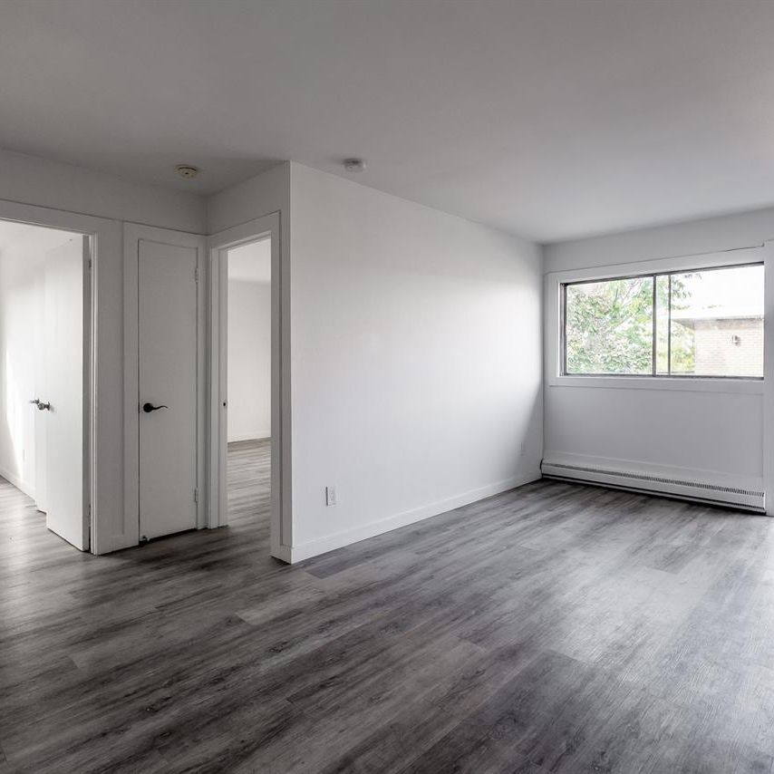 Spacious 1 Bedroom Apartment - Saint Leonard - 6965 Rue De Choisy, Montréal - Photo 1