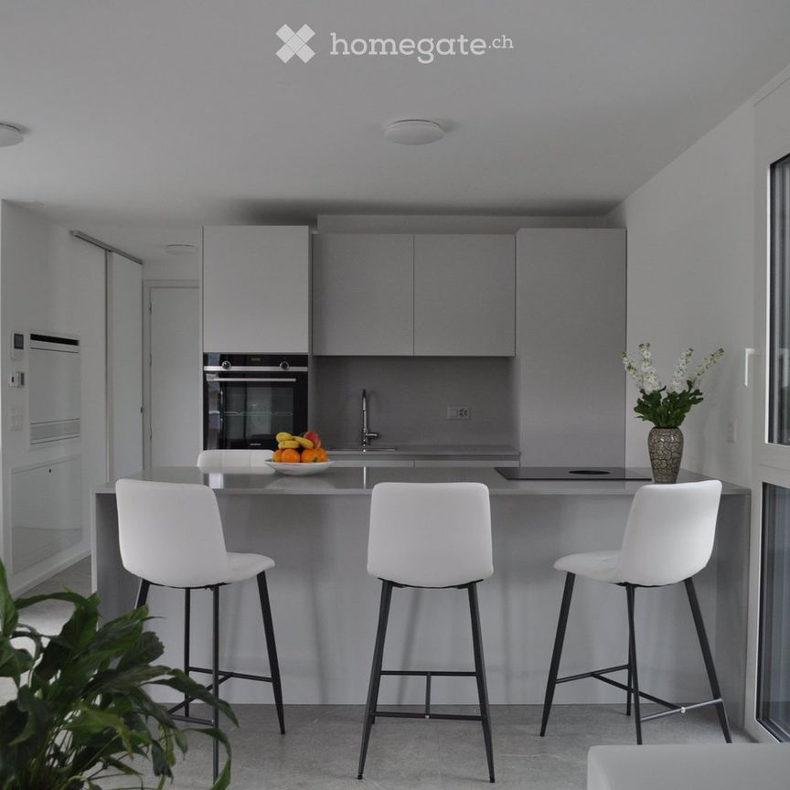 Elegante apt arredato con gusto, con ampia terrazza privata - Foto 1