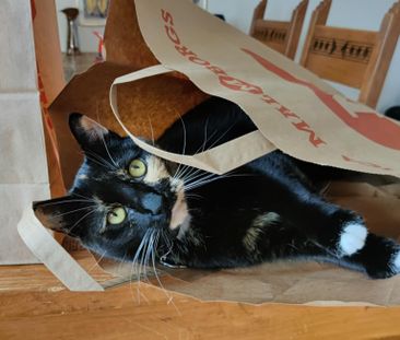 Köpmannagatan, Hjärup - Foto 5