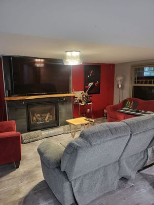 For Lease - 56 Argyle Crescent Unit# Bsmt, St. Catharines, Ontario - Photo 1