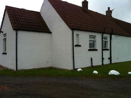 2 bedroom semi-detached house to rent - Photo 4