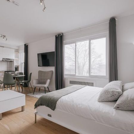 Loft entièrement meublé à louer Sainte-Foy / Sillery juillet 2026 - Photo 4