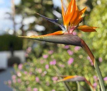 Estepona West, Estepona, Andalusia 29680 - Photo 6