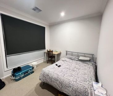 Hectorville - Photo 3