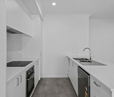 Welcome to 41 Tulip Tree Street, Park Ridge - $680 per week - Photo 5