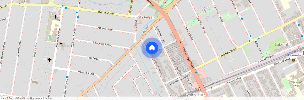 1/51 Cornelia Street, NSW 2195, Wiley Park