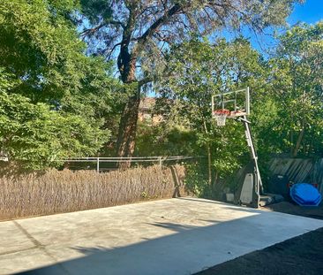 Period Hawthorn grace with private yard (revised rent & bond) - Photo 6