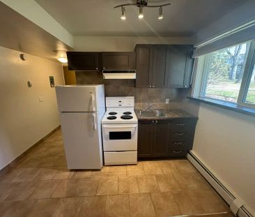 Willow Green Estates — Studio - Photo 2