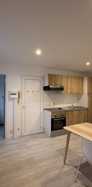 Location Appartement 1 pièce 29m² AVESNES SUR HELPE 59440 - Photo 1