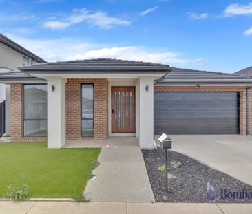 Beautiful Family Home in the Heart of Kalkallo - Photo 5