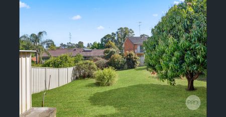 Charming 3-Bedroom Home with Large Yard & Outdoor Entertaining – Prime St Marys Location! - Photo 5