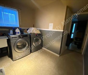 7240 2nd Street BSMT Burnaby - Photo 2