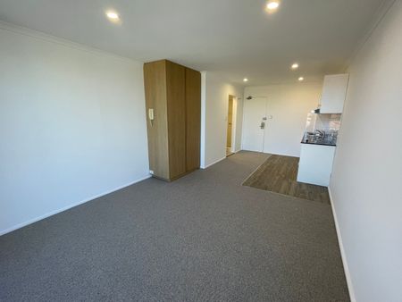 29/35 Alison, Kensington NSW 2033 - Studio For Rent | Domain - Photo 2