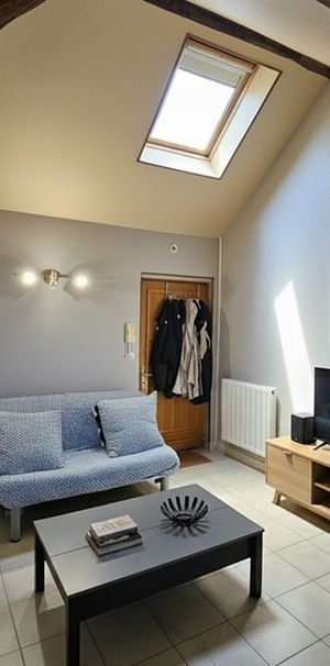 Location Appartement 1 pièce 16m² ST MARTIN D ABBAT 45110 - Photo 1