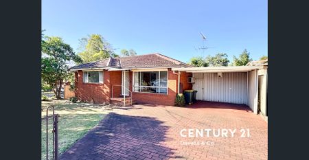 Charming 3-Bedroom Home with Spacious Backyard - Photo 3