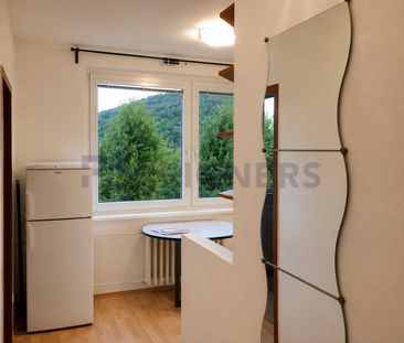 Apartment for rent, 1+1 - Studio, 30m - Photo 6