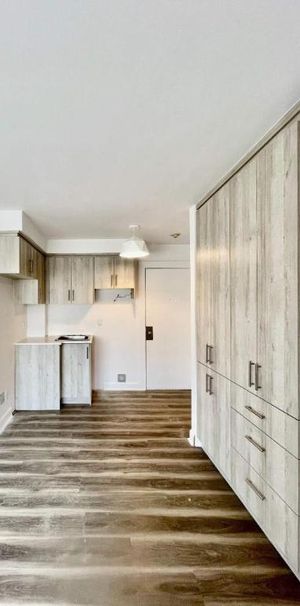 Studio - Montréal - $945 /mo - Photo 1