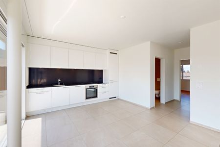 Ihre neue Attikawohnung mit traumhafter Terrasse - Photo 4