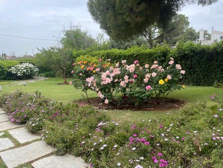 Μονοκατοικία για ενοικίαση Πολιτεία (Κηφισιά) - Photo 5