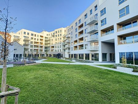 Directly with the owner - 3 bedrooms + terrace - Photo 4
