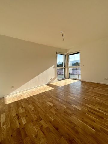 Neues Zuhause in Wilfersdorf bei Tulln : Erstbezug, 144,79m², 2 Stellplätze, Garten - Foto 4
