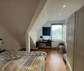 helle Dachgeschosswohnung im Zoo-Viertel - Foto 4