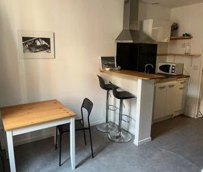 Location Appartement 1 pièces 20 m2 à Perpignan - Photo 3