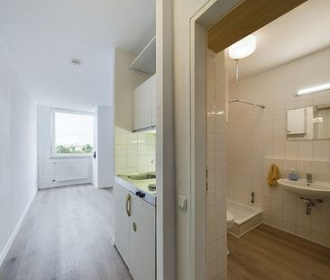 In Uni-Nähe! Neu renovierte 1-Zimmer Wohnung inkl. EBK zur Miete in Mainz - Foto 1