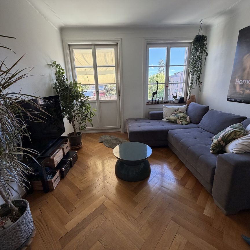2 ZI-WOHNUNG IN BASEL - ST. JOHANN, MÖBLIERT, TEMPORÄR - Foto 1