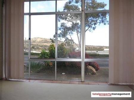 61/4 Wilkins Street, Mawson ACT 2607 - Apartment For Rent | Domain - Photo 3