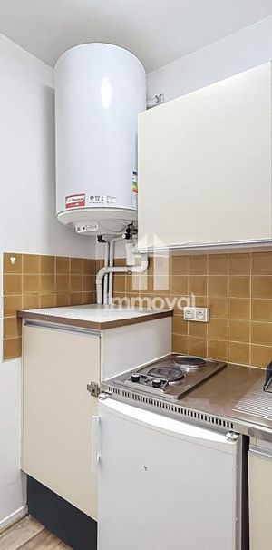 Location Appartement 1 pièce 26m² STRASBOURG 67000 - Photo 1