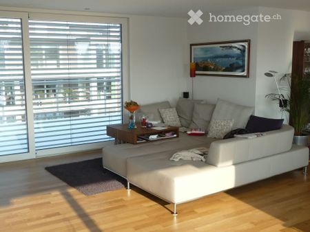Wunderschöne Attika-Wohnung in Bestlage am See in Pfäffikon - Photo 5
