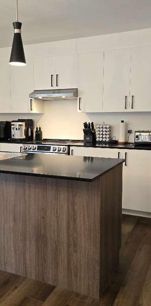 Appartement 4 1/2 à louer - Sainte-Anne-des-Plaines - 1 er novembre 2026 - Photo 1