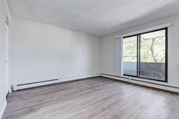 1 Bedroom - Photo 1