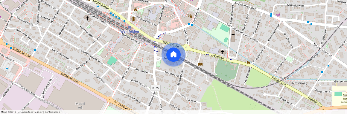 Feldhofstrasse 5, 8570, Weinfelden