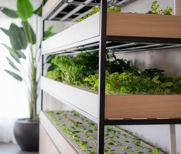 Rental condos Longueuil - Photo 5